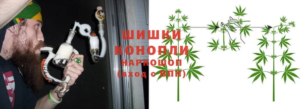 прущие грибы Нефтегорск